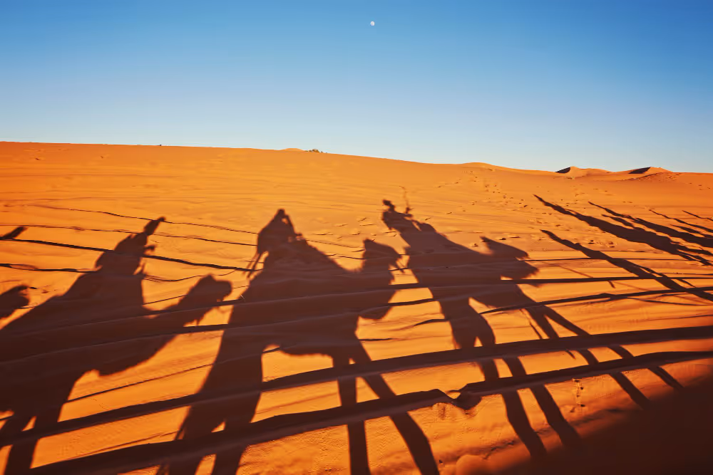 Désert du Sahara marocain - Dunes de Merzouga au coucher du soleil