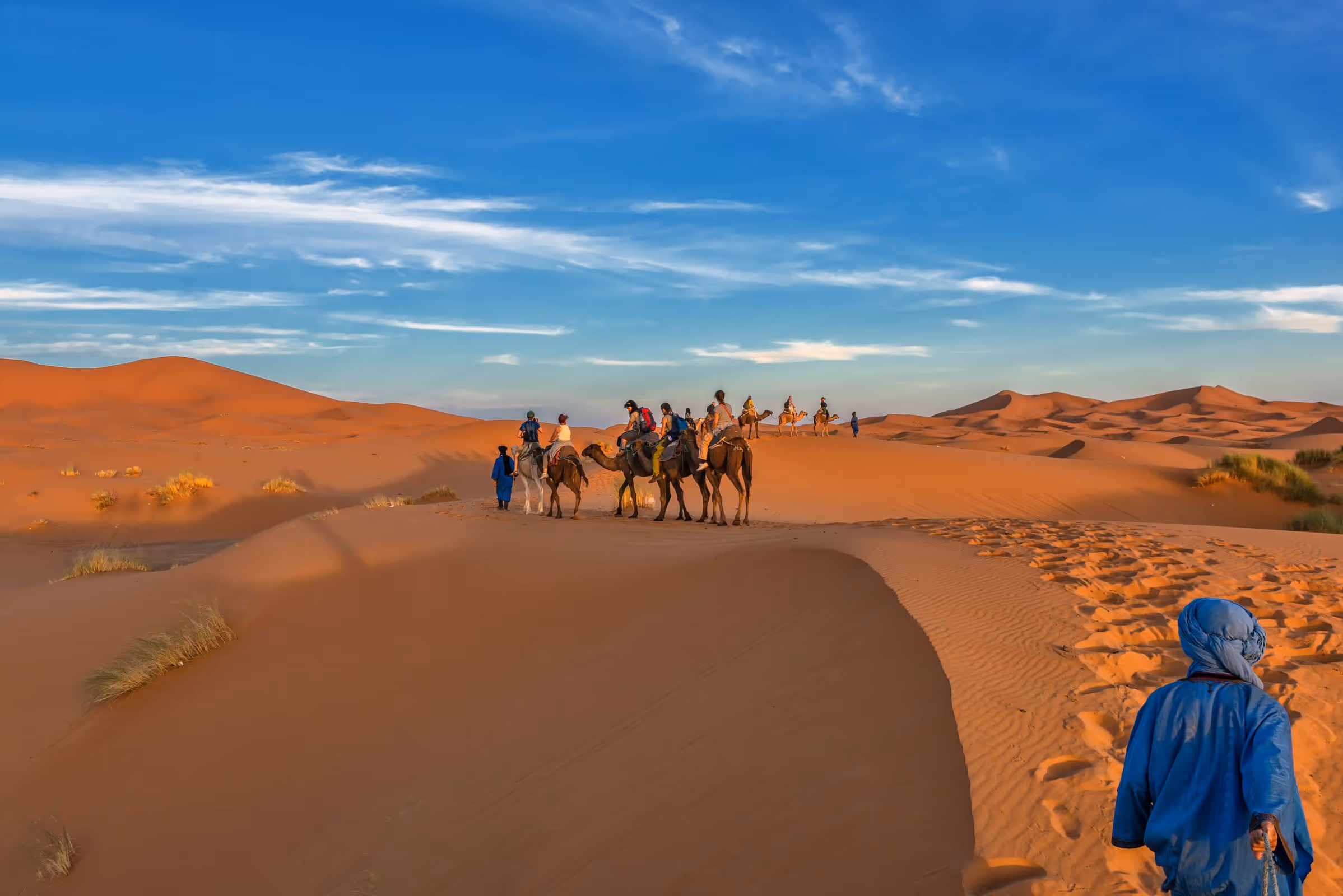 Desierto y Cultura